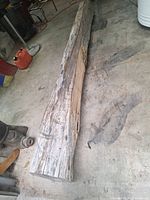 Full-length view of log on concrete floor showing overall length and surface condition
