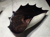 Top view of the shell shaped art glass dish showing the dark brown and reddish speckled center pattern and glossy finish.