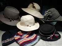 Photo showing all seven hats arranged including felt and crocheted hats with various decorative accents
