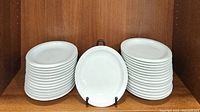 Stack of 30 white dinner plates with one plate displayed upright to show size and shape.