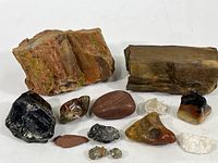 Overview of twelve mineral specimens including two large petrified wood pieces, obsidian, pyrite, and several polished stones of various sizes and colors.
