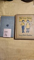 Two books laid flat on fabric surface. Left is a blue-gray book with a small floral emblem on the cover, right is a yellow-tan cover book titled 'The Irish Twins' by Lucy Fitch Perkins with illustrated children on the cover.