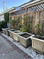 Six square simulated stone planter pots in a row beside a wooden fence and brick path