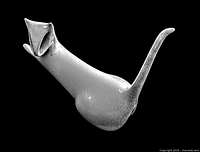 Side view of white porcelain elongated cat figurine with tail raised, displaying sleek mid-century design.