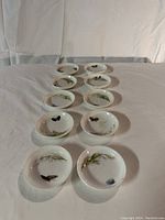 Ten small round Limoges Haviland saucers arranged in two rows, each featuring hand painted bird and leaf designs.