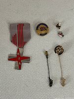Full view of medal and various fraternity pins including service club badge and small symbolic pins