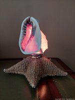 Photo of the vintage nautical table lamp showing the illuminated shell lamp shade and starfish base from a front angle.