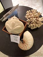 Overview showing coral piece, nautilus shell, and sand dollar on small table