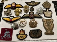 Full lot showing all badges and patches arranged on white background
