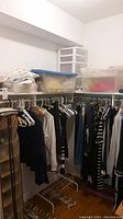 Closet view showing hanging women's clothing size large and storage totes on shelf