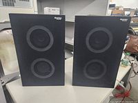 Pair of Panasonic Thrusters speakers side by side on table showing front fabric covers with dual drivers visible and brand logo.