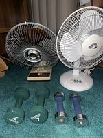 Front and side view of the two fans and two pairs of dumbbell weights on carpeted floor.