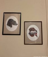 Two framed hunting dog prints hung on wall, showing black and brown dogs with game birds, oval matting.