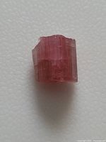 Pink tourmaline crystal on a white background showing natural striations and rough edges in bright lighting.