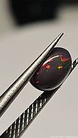 Close-up of oval cabochon cut black opal held by metal tweezers showing red and green flashes.