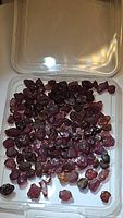 Clear plastic container holding 50 small rough garnet crystals in varying dark red tones.