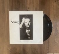 Vinyl record album cover of Sting Nothing Like the Sun with two black vinyl records partially visible.