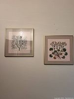 Wall-mounted photo showing the two vintage framed needlepoint artworks side by side with botanical themes.