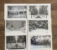 Photo showing six assorted black and white photography greeting cards laid out with envelopes