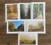 Photo showing six photography greeting cards spread out on wooden surface. Each card depicts a different nature scene. Cards are in plastic sleeves with envelopes visible behind them.