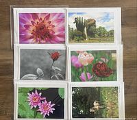 Six assorted greeting cards arranged in two rows showing photographic images of flowers and sculptures in outdoor settings.