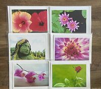 Photo showing 6 assorted photographic greeting cards neatly displayed with envelopes underneath on a wooden floor. Cards feature colorful flower images and a moss sculpture.