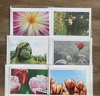 Photo showing 6 assorted photography greeting cards arranged in two rows of three. Each card is in a plastic sleeve with an envelope behind it. The card fronts display colorful natural and floral photographic images.