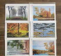 Top-down photo of six assorted blank inside photography greeting cards with matching envelopes, measuring approximately 6.5 x 5 inches. Scenes include nature and seasonal imagery.