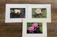 Photo showing three matted flower photography prints on a wooden surface. Prints depict water lilies or lotus flowers in white, pale pink, and vibrant pink set against lily pad backgrounds.