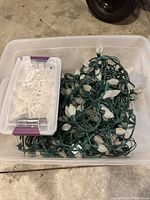Plastic tote containing green wired LED Christmas lights and a smaller container possibly holding clips.