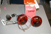 Two red heat bulbs in metal cage with metal clamp and power cord variant with switch, on table with product box