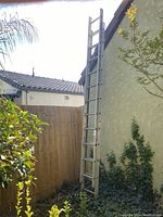 Full view of the tall aluminum extension ladder leaning against a house exterior wall with visible roof and garden plants around.
