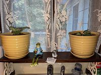 Two yellow ceramic pots with live plants, small green frog figurine, and etched glass on window shelf with lace curtain background