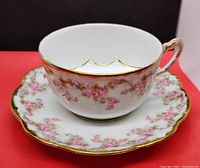 Front view of the tea cup on saucer highlighting pink floral design and gold trim, showing the interior moustache guard detail.