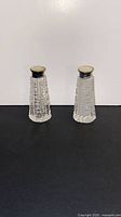 Front view of both cut crystal shakers showing overall shape and lids