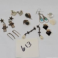 Wide shot of all 10 pairs of pierced earrings laid out on a white background with lot number 613 visible.