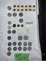 Full spread of the coins displayed on a white cloth including small copper, medium and larger silver-tone coins with some in sleeves