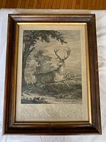 Framed copper plate engraving with detailed depiction of stag deer and surrounding landscape, including buildings and trees.