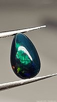 Close-up of a pear cabochon Ethiopian black opal showing vivid green and blue color flashes held with tweezers.