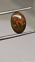 Close-up photo of the oval cabochon black opal held by tweezers showing a multicolor flash on a dark base.