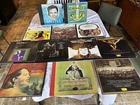 Photo showing full spread of the 11 vintage record albums arranged on a table, including visible front covers of Billie Holiday, Frank Sinatra, Puccini, and more.