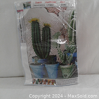 Front view of sealed diamond painting canvas showing printed pattern of potted cactus mosaic, dimensions 30x40 cm (approx. 12x16 inches).