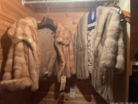 Two fur stoles hanging in a wooden closet, showing overall condition and shape.