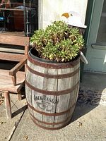 Full view showing wooden Jack Daniel's barrel used as planter with live plant inside and the wood birdhouse on stake positioned in soil within the barrel.