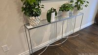 Full view of glass top console table with plants placed on top to show scale and use.