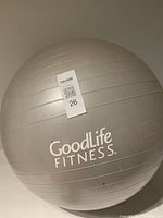 Silver GoodLife Fitness yoga ball with textured horizontal lines and logo visible.