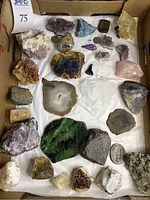Full box view showing all 25 mineral and rock specimens laid on white paper with some quarters for scale.