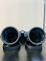 Front view of binocular objectives with caps removed