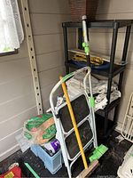 Photo shows metal two-step ladder, broom, and garden hoe leaning against a black plastic shelf unit with bags of pine bedding and litter nearby.