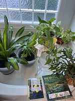 Indoor plants including leafy green plants and trailing vines on a window ledge alongside two gardening books.